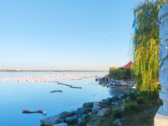 -天津东丽湖风景区