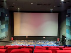 -龙之星国际影城(太平店)