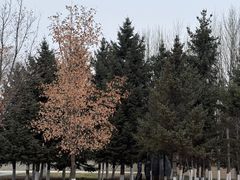 -长春世界雕塑园冰雪艺术天地