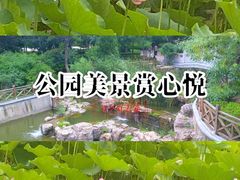 -迎泽公园