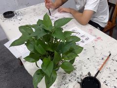 -琴书和韵(上南馆旗舰店)