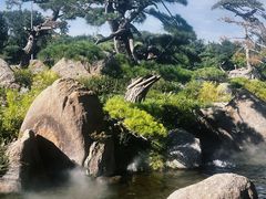 -罗红摄影艺术馆