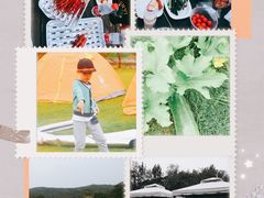 -汤山温泉房车营地 茶温泉