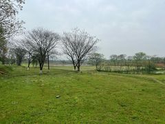 -盘龙城遗址博物院