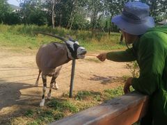 -大连森林动物园