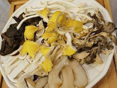 -大理董·董家小厨野生菌火锅(古城旗舰店)