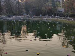 -绵阳人民公园(涪城区)
