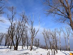 -中旅松花湖滑雪场
