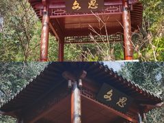 -北极阁公园