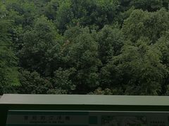 -西湖风景区-江洋畈生态公园