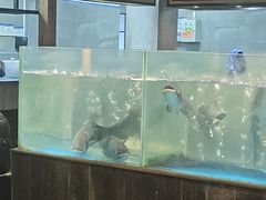 -丹江渔村(首都机场店)