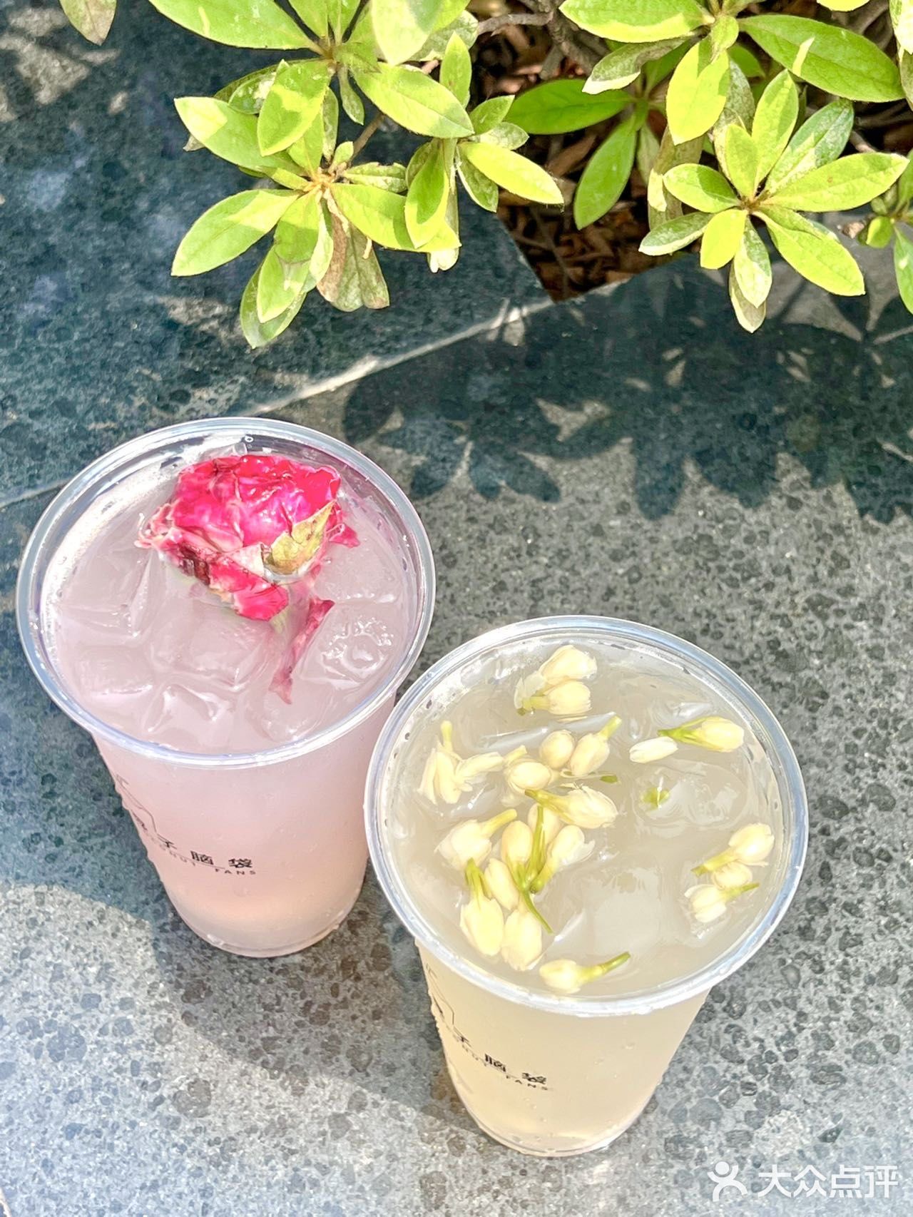 南京首家椰子专门店🥥一秒穿越三亚海边🌴