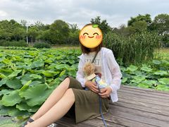 -美兰湖景区