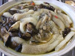 -江川野生菌火锅铜锅鱼(贵清火锅店)