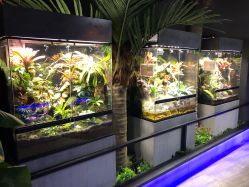 -未来动物城主题公园(正弘城店)