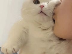 -Love Story爱情故事·养生SPA会所(星都店)