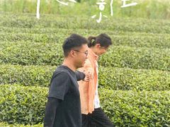 -上坦村