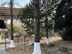 -苏州河梦清园环保主题公园