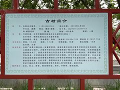 -大望京公园