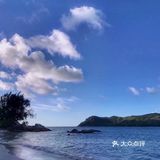9月去。从西安没有直飞的，大伙可以先飞北京