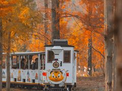 -黄海国家森林公园