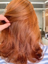 -潘多拉Hairsalon