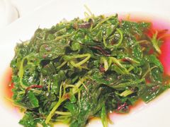 -蝶园·装修中(BFC外滩金融中心店)