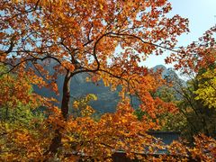 -北京上方山国家森林公园