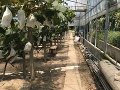 -美家乐农庄·露营·团建(大治路店)