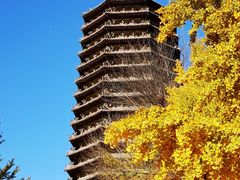 -玲珑塔公园