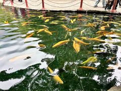 -丽江玉水寨