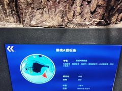 -沈阳海洋探索中心