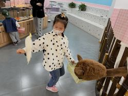 -Moni星球萌宠·小马宝莉·灵蛇·高端高阶全萌宠互动体验俱乐部(红豆国际广场店)