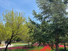 -长春公园(普阳街道)