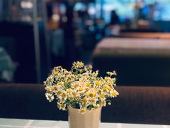 -花与咖啡馆(金星楼店)