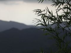 -维乐口腔医院(星海湾分院)