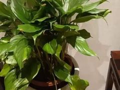 -毛家饭店·30年融合新湘菜(无影山店)