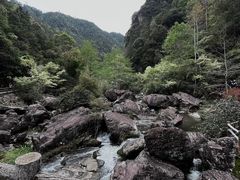-刘伯温故里景区百丈漈
