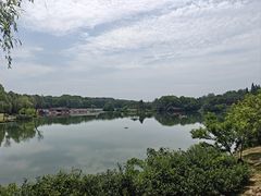 -宜兴龙背山森林公园