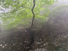 -武当山风景区