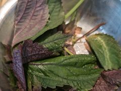 -陈大锅·岳阳鱼馆·地道岳阳菜(美食街店)