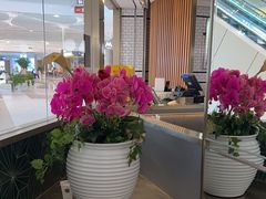 -翠华餐厅(维璟印象城店)
