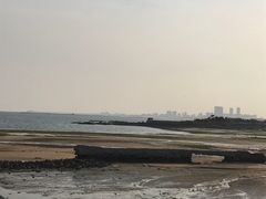 -日照海滨国家森林公园