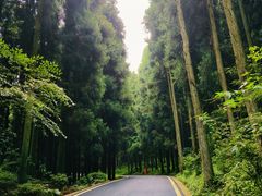 -山王坪喀斯特国家生态公园