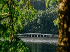 -深圳仙湖植物园
