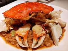 珍宝蟹蒸手剁肉饼-利苑酒家(合景国际金融广场店)