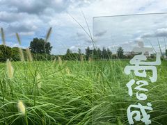 -嘉北郊野公园
