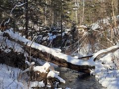 -峡谷浮石林景区