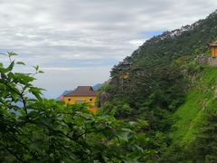 -九华山聚龙大酒店