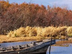 -洱海月湿地公园